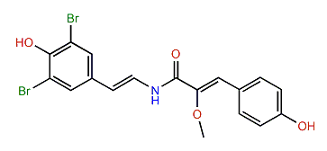 Botryllamide G